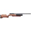 Benjamin Kratos .25cal PCP Powered Multi-Shot Pellet Air Rifle