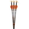 Ravin R134 Premium Match-Grade Lighted Arrows .001 (3-Pack)