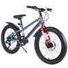 20 Inch Kids Bicycles , Fat Tire Mountain Bike for Boys and Girls Age 5 + Years ,Dual-Disc Brake,Shimano 7-Speed ,Kids Beach and Snow Bicycle
