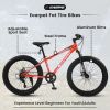 24 Inch Fat Tire Bike Adult/Youth Full Shimano 7 Speeds Mountain Bike, Dual Disc Brake, High-Carbon Steel Frame, Front Suspension, Mountain Trail Bike