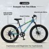 24 Inch Fat Tire Bike Adult/Youth Full Shimano 7 Speeds Mountain Bike, Dual Disc Brake, High-Carbon Steel Frame, Front Suspension, Mountain Trail Bike
